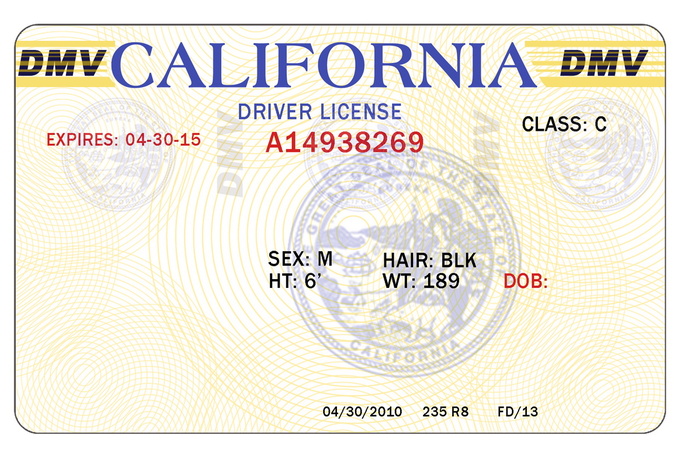 free printable drivers license templates